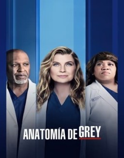 Anatomaia De Grey Temporada 18 Capitulo 10