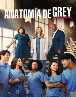 Anatomaia De Grey Temporada 19 Capitulo 2