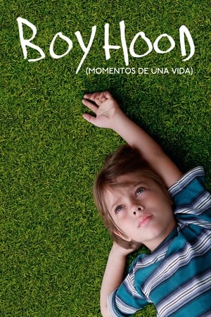 Boyhood Momentos De Una Vida