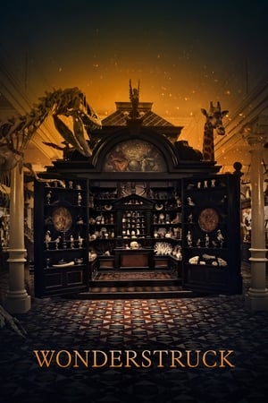 Wonderstruck El Museo De Las Maravillas