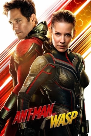 Ant Man Y La Avispa