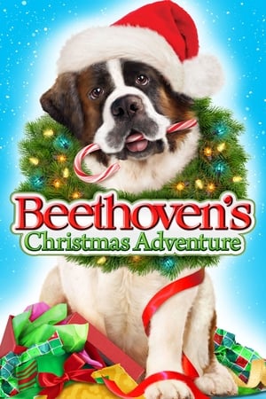 Beethoven Aventura De Navidad