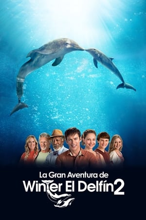 Winter El Delfin 2