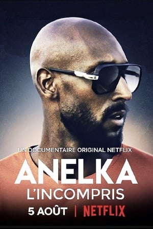 Anelka El Incomprendido