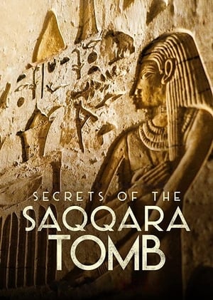 Los Secretos De La Tumba De Saqqara