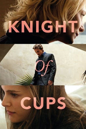 Knight Of Cups