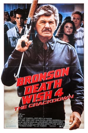 Death Wish Iv