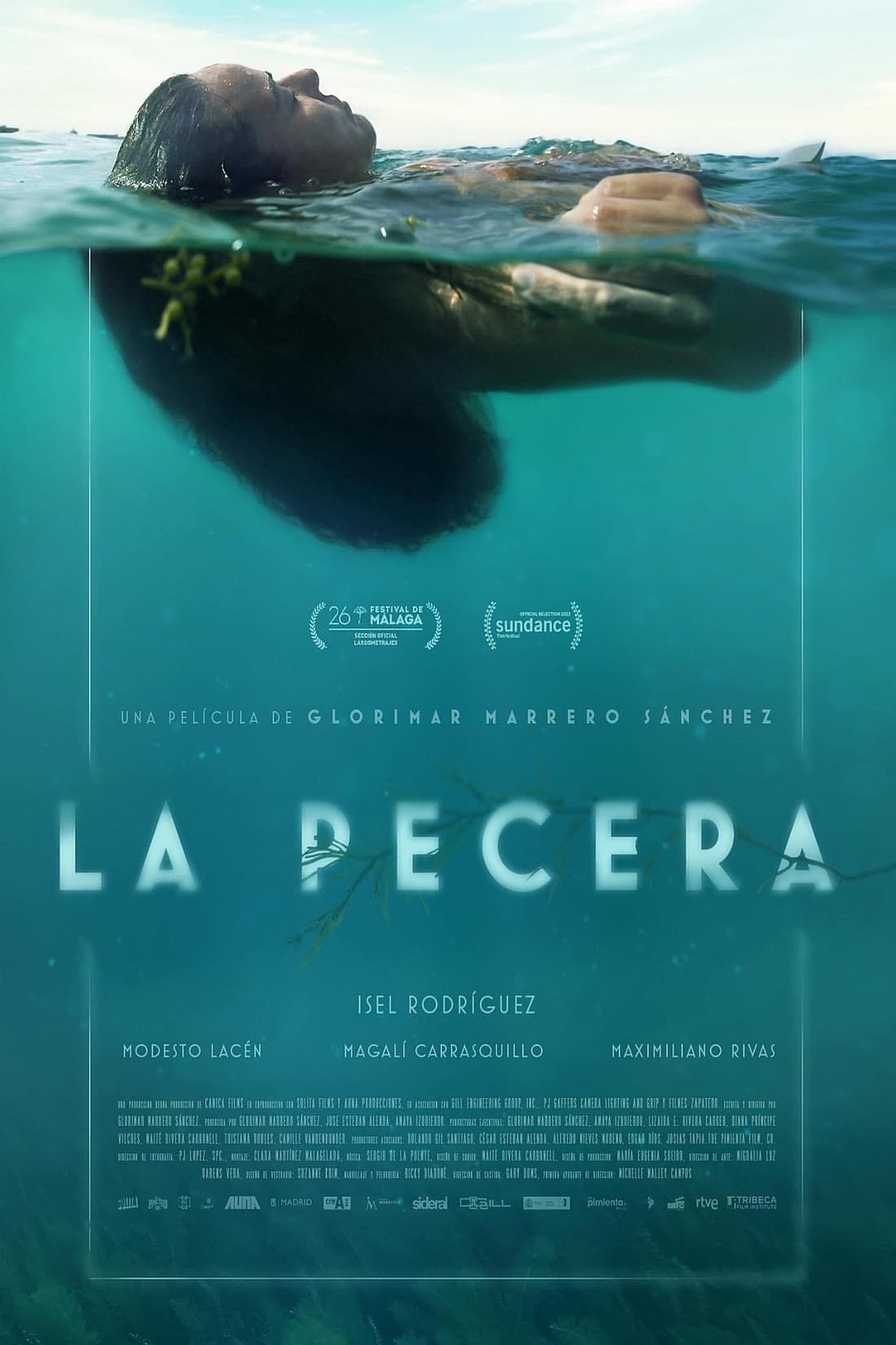 La Pecera