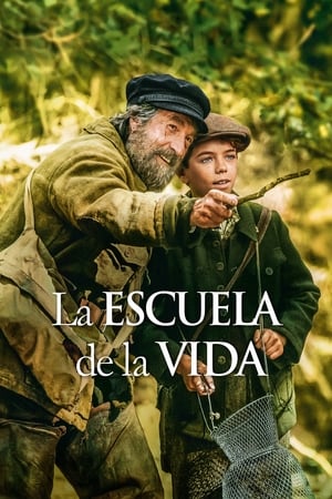 La Escuela De La Vida