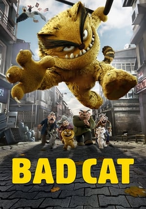 Bad Cat Serafettin