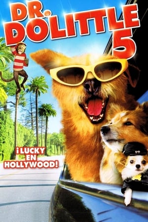 Dr Dolittle 5 El Perro Del Millon De Dolares